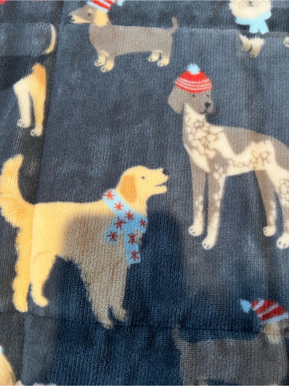 Plush Dog-Print Pet Blanket in Gray and White